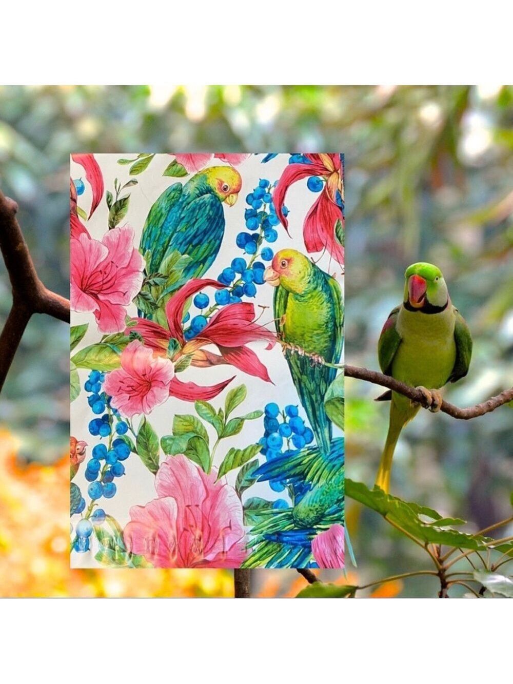 25 10X13 Poly Mailers Tropical Parrot Bird PRICE IS FIRM - Picture 11 of 15